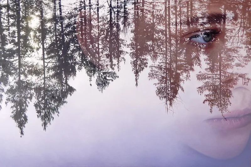 Reflection VI